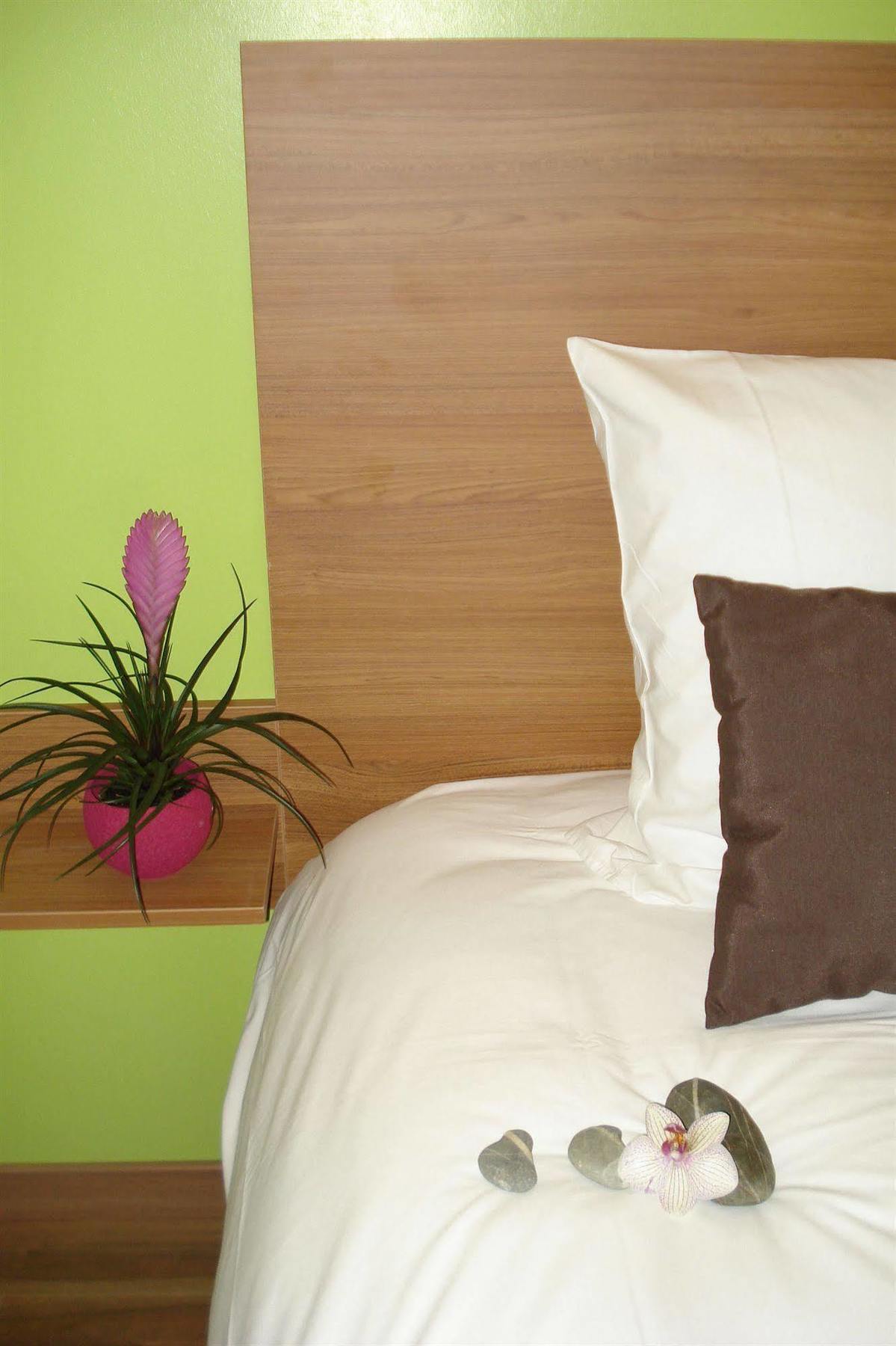 Hôtel H\u00F4tel La Palmeraie à Cornebarrieu Extérieur photo